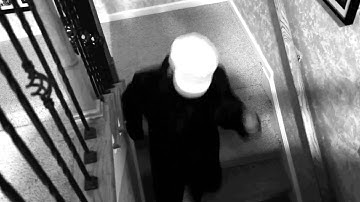 CATNIP OFFICIAL MOVIE TRAILER