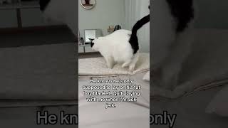 He Is Very Loved And Spoiled I Promise