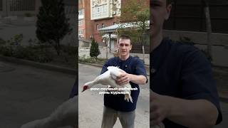 Первый день всегда тяжелый…