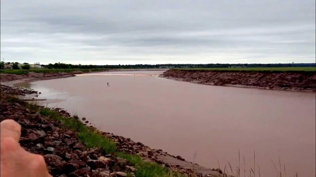 Surfing on the tidal bore on the Petitcodiac river in Moncton NB YouTube