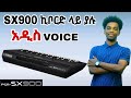 SX900 ኪቦርድ ላይ ብቻ ያሉ አዳዲስ VOICE SX900 KEYBOARD NEW VOICES