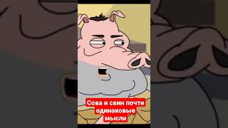 сова и свин - почти одинаковые мысли #youtube #fyp #subscribe #shorts #games #youtubeshorts