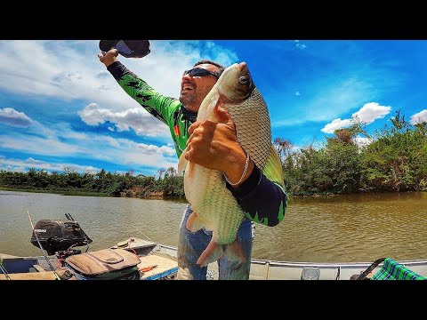 😱 Assustador! Saiu um monstro quando eu menos esperava na pescaria.