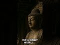 1分で「奈良時代の天然痘大流行」いまさら聞けない日本の出来事。 #奈良時代 #天然痘 #聖武天皇 #藤原四兄弟 #shorts