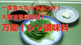 一度食べたらやみつき！万能しそ調味料