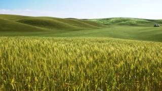 Interpretation Of Stings Fields Of Gold  Instrumental Cover