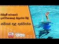 පිහිනුම්|sin