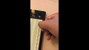 Video 3 EspoTek Labrador