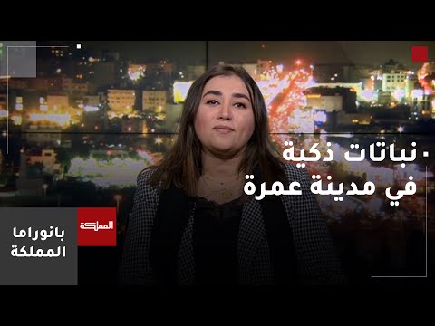 خبيرة بالتخطيط الحضري منطقة مدينة عمرة تسمح بوجود حصاد مائي