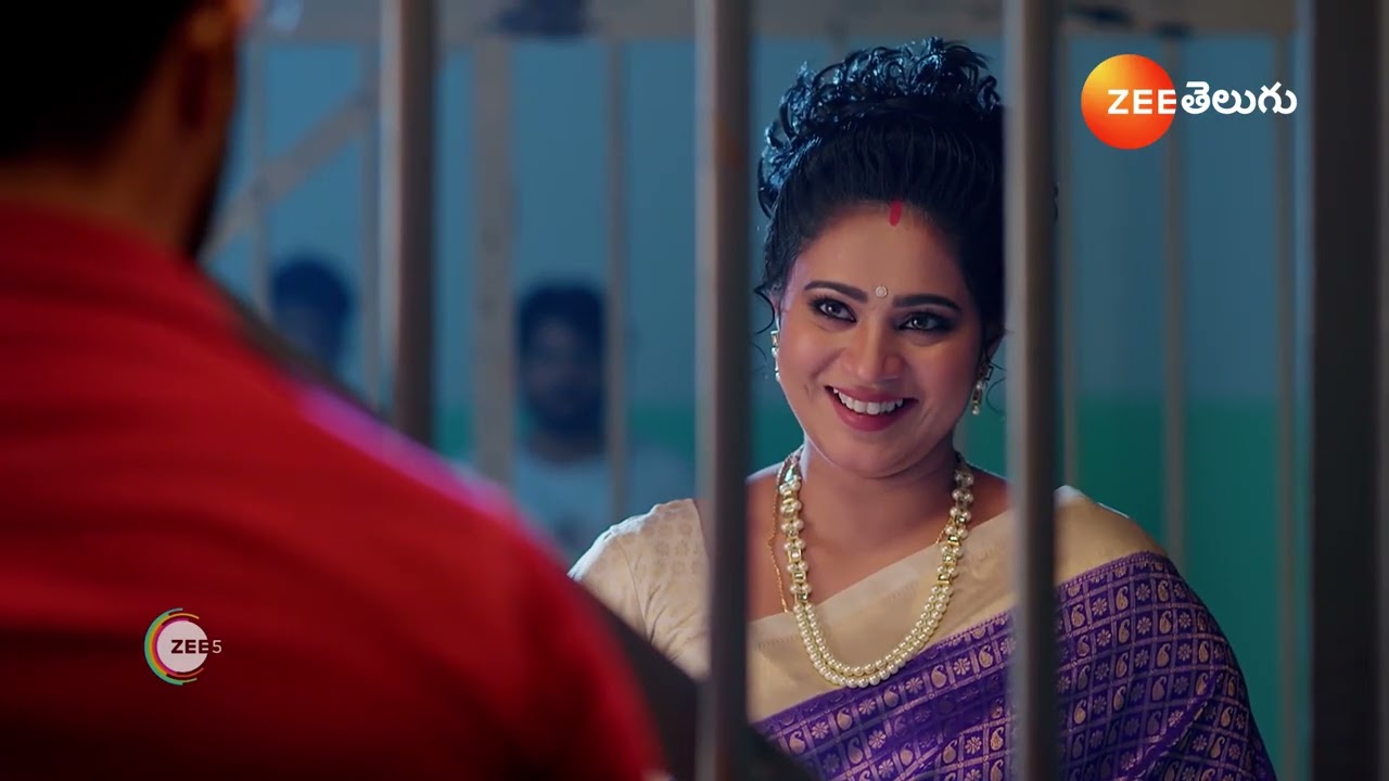 Meghasandesam | గగన్ ని విడిపించకుండా భూమికి అడ్డుపడిన మీరా!