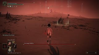 ELDEN RING Worst Radahn Fight
