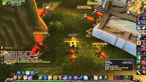 Feral Druid Cat Swipe