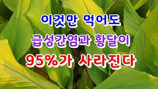 아주 심했던 염증성 질환이 이것을 먹고부터 깔끔하게 사라졌다