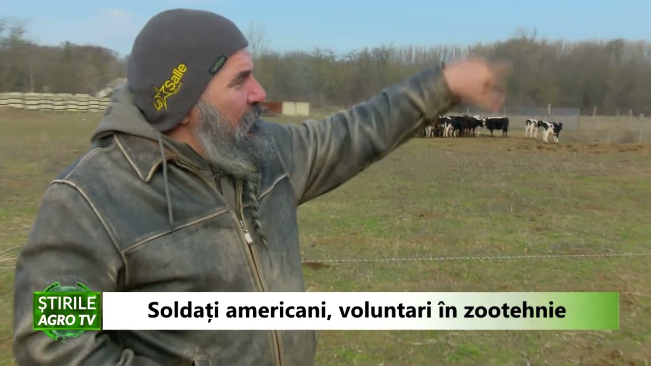 VIDEO Soldații americani veniți în România fac voluntariat în ferme 1 VIDEO Soldații americani veniți în România fac voluntariat în ferme YouTube player