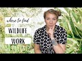 WHERE TO FIND WILDLIFE WORK | wildlife jobs; wildlife conservation work; animal internships Mp3 Song