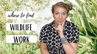 WHERE TO FIND WILDLIFE WORK | wildlife jobs; wildlife conservation work; animal internships