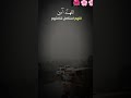 یارب یارب ساعدنا جميعا في الغيب Shortvideo Duet Unfrezzmyaccount 100kvews یارب یارب ساعدنا جميعا في الغيب Shortvideo Duet Unfrezzmyaccount 100kvews