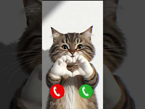 Love You All Cute Cat Calling Ringtone Cat Calling Ringtone Remix Call Song 
