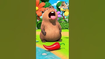 Capybara ăn ớt và cái kết - Tries Chili for the First Time | Nghi Media