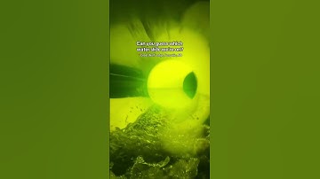 84 Degree Water Park Fun