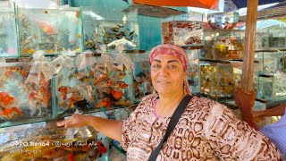 سوق الجمعه بالسيدة عائشة بالاسعار اسماك الزينهFriday market, Mrs. Aisha, the prices of Zina fish??