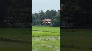 Rains kerala