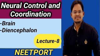 Neural Control and Coordination-Diencephalon|Lecture-8|Neet Biology|AIIMS|Class11 Biology| screenshot 4