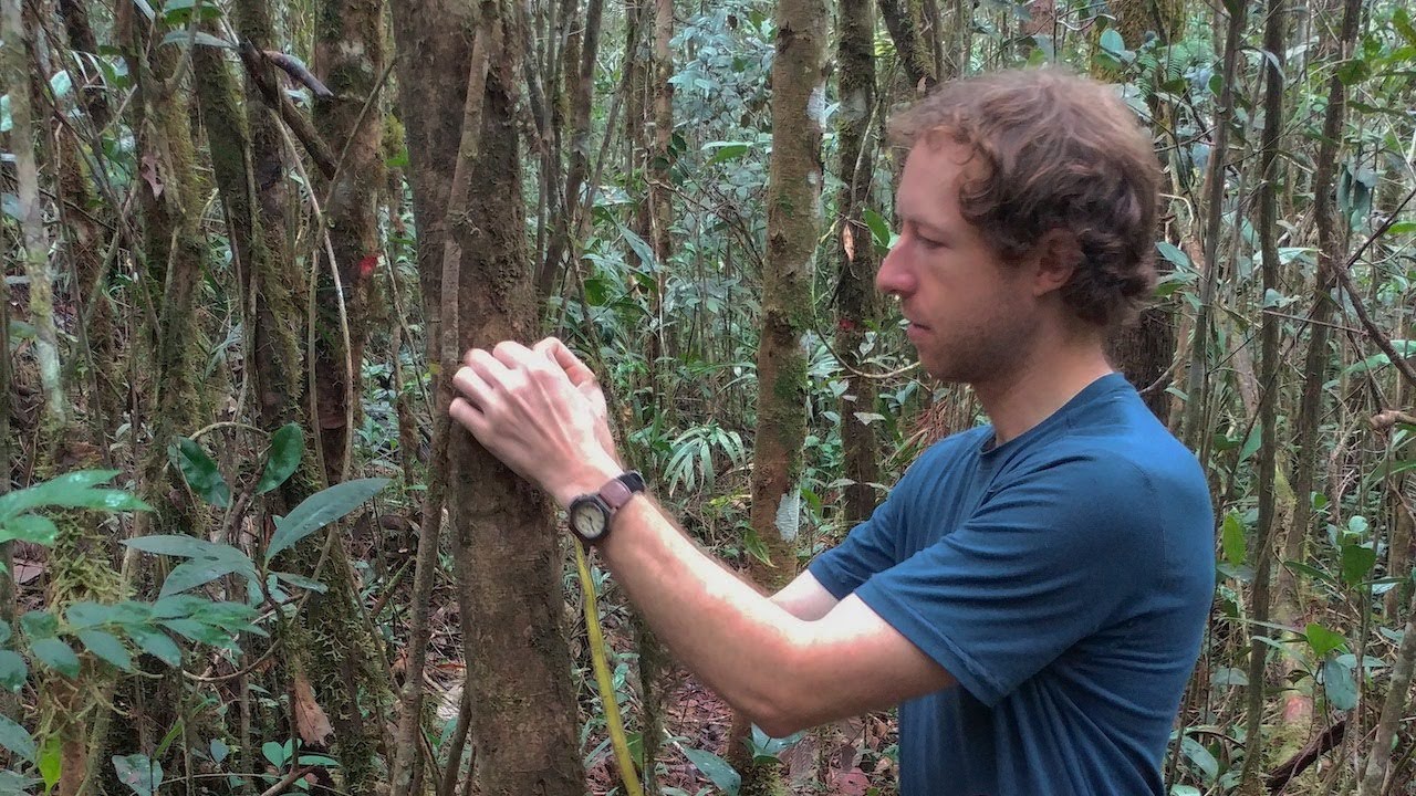 Lunch Break Science #36 | Andrew Bernard