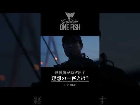 Quest for ONE FISH / 盛夏の徳島県でシーバスを追う田上の“リアルシーバス”　#QOF #リアルシーバス #田上明茂 #シーバス #エクスセンス