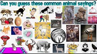 Common Animal Sayings and Meanings. How Many Do You Know?