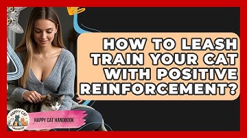 How To Leash Train Your Cat With Positive Reinforcement? - Happy Cat Handbook