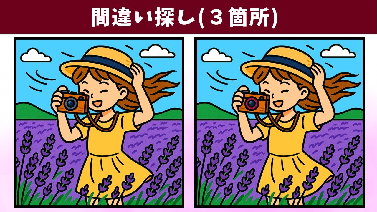 Найдите 3 отличия | Иллюстрация Версия #1870