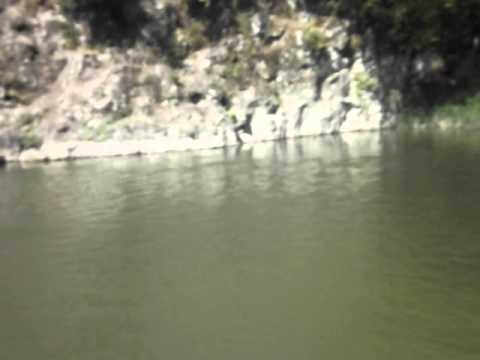 თავგიაზე მარტო ბანაობა :D