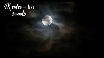 4K video - Dark clouds over a full moon. Live sounds