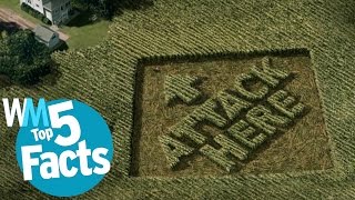 Top 5 Weirdest Crop Circle Facts