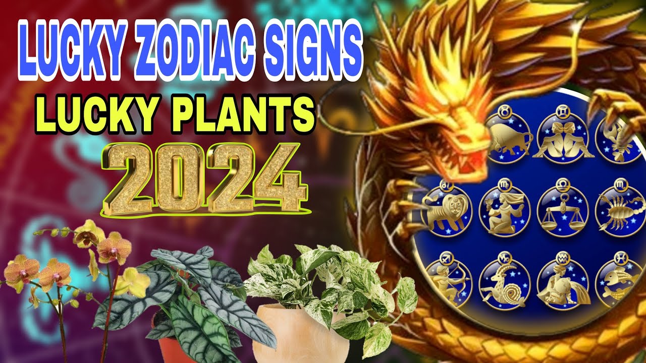 ALAMIN: Pinaka Swerteng Zodiac Signs and Lucky Plants 2024! - YouTube