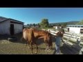 Glidecam XR-1000 : GoPro 3 Black : First Test At the Equestrian Farm