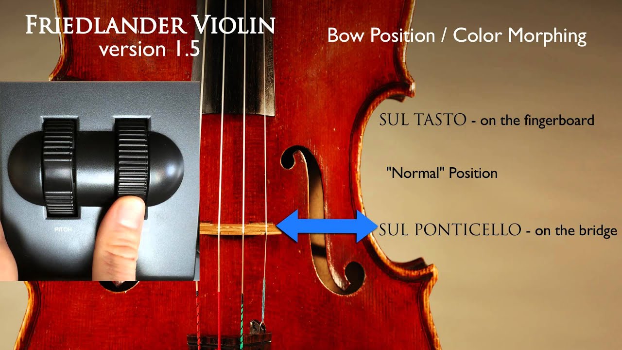 Intimate Strings Bridge to Fingerboard Bow Control