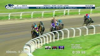 Vidéo de la course PMU PRIX I WANT GLORY 2014 (1ER PELOTON)