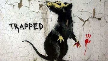 THE TRAP IS SET, HERE COMES THE PAIN