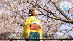 Singing Cosplayer Hikari のyoutube