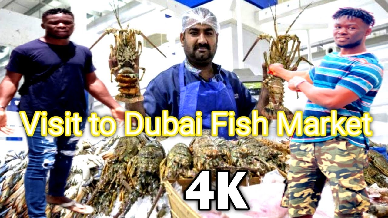 Dubai Deira Fish market Dubai waterfront Market 4K YouTube