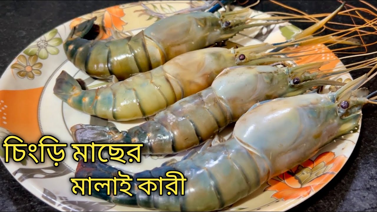 chingri-macher-malai-curry-recipe-prawn-malai-curry-in-bengali