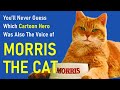 The Voice BEHIND TV&#39;s &quot;Morris the Cat&quot;