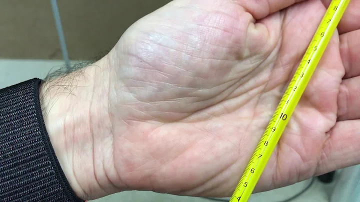 Thermal Expansion Demo