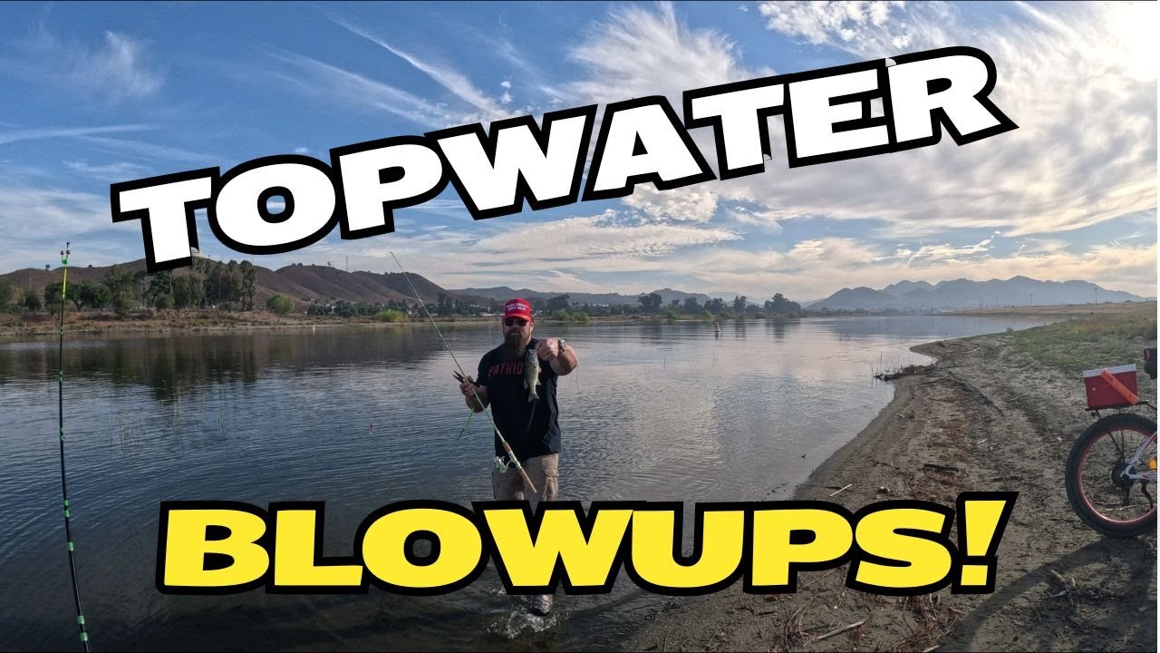 Bass Fish Stocking | Lake Elsinore | Fishing Report | Oct 2024