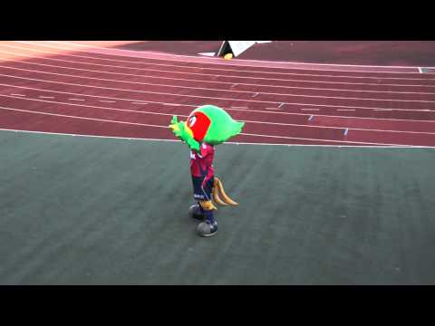 2011 J2 第32節 ファジアーノ岡山 試合終了後のファジ丸ダンス