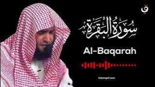 Surah Al Baqarah Salman Al Utaybi - سورة البقرة سلمان العتيبي - (NO Ads) (بدون اعلانات)