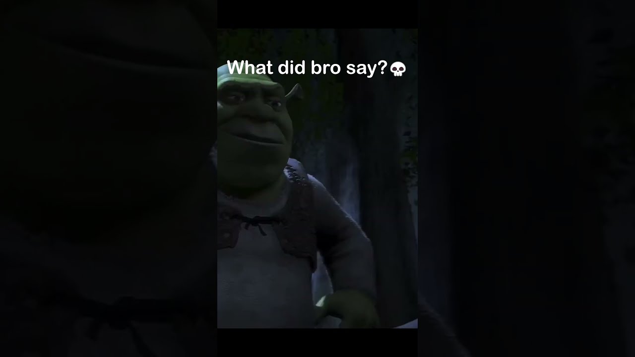 What Did Bro Just Say Shrek Movie Edit Shorts Funny Viral