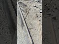 Boundary Wall footing/Foundation with beam step by step